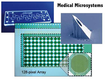 /webdav/site/si/shared/KeyAreas_MedicalMicrosystems.jpg